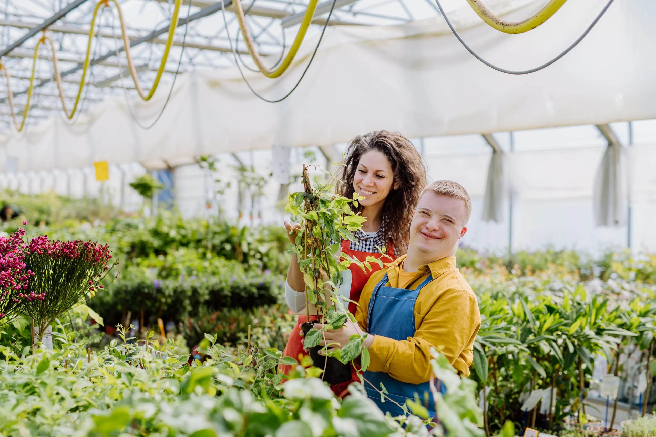 Experienced woman florist helping young employee with Down syndrome in garden